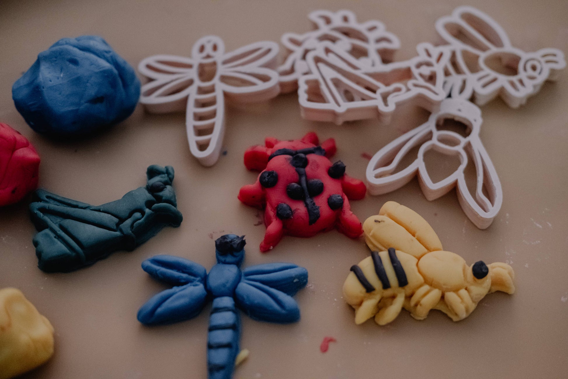 Insect Playdough Eco Cutter Set