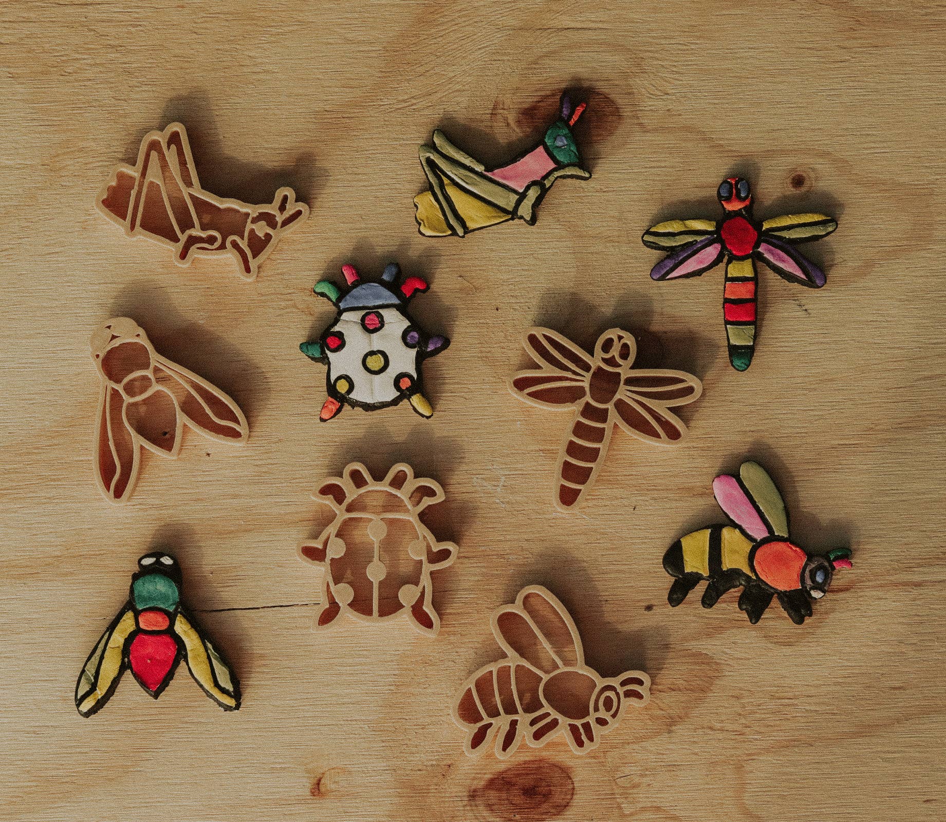 Insect Playdough Eco Cutter Set