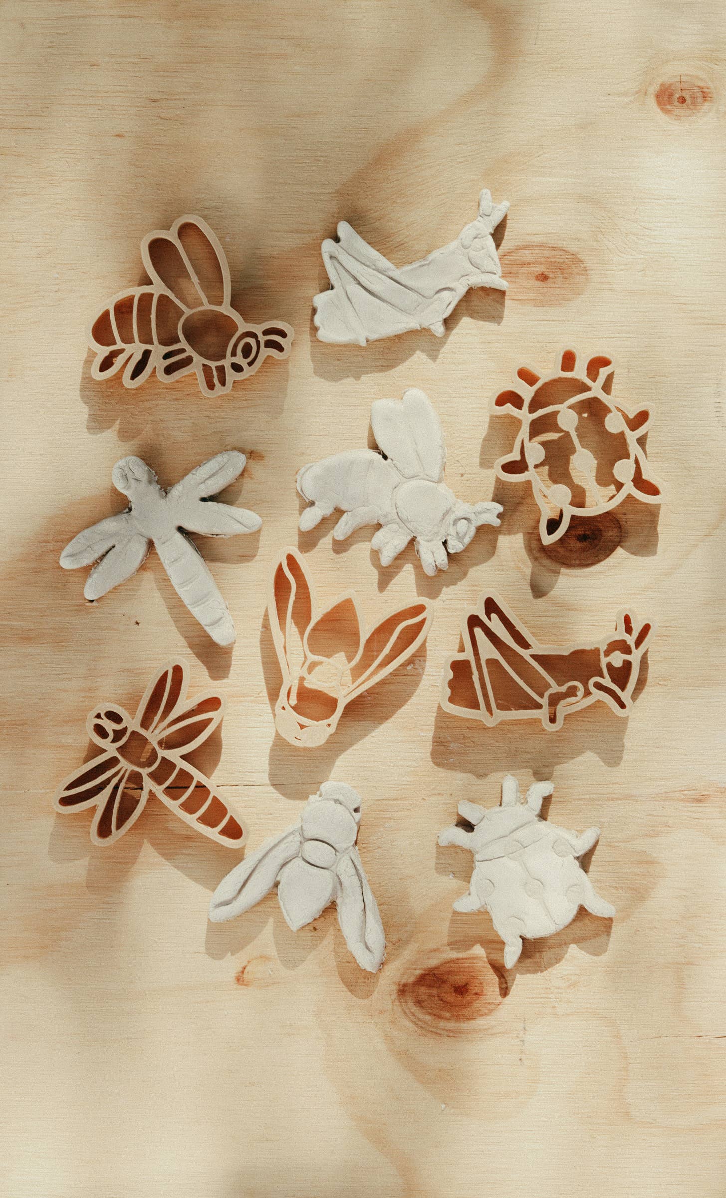 Insect Playdough Eco Cutter Set