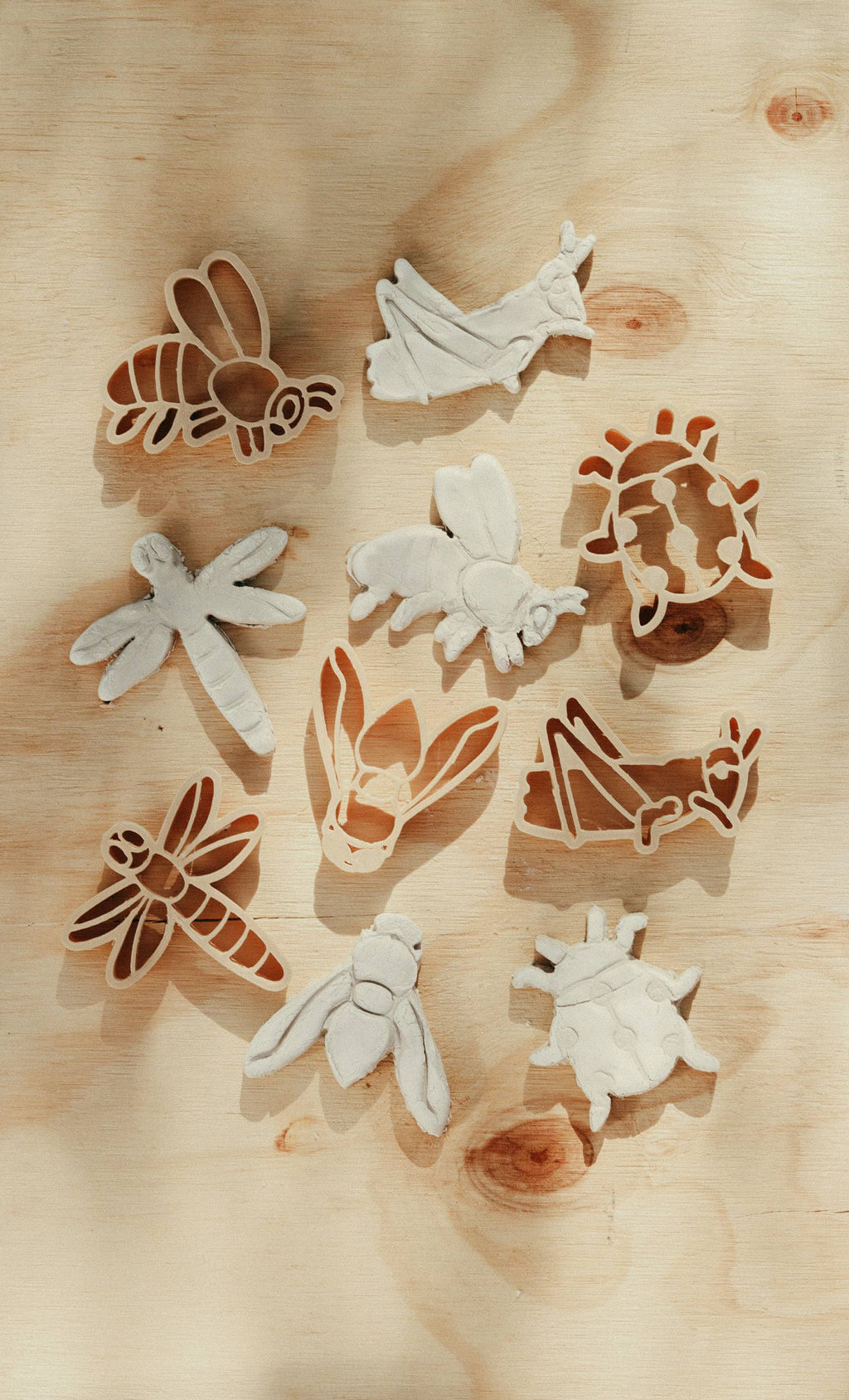 Insect Playdough Eco Cutter Set